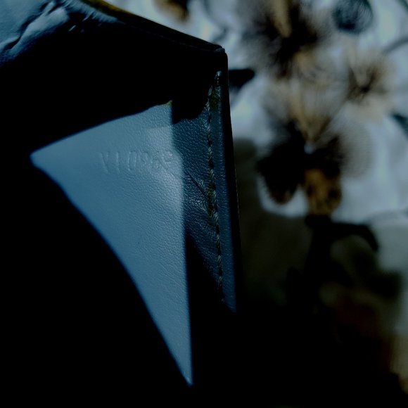 Louis Vuitton Spring Street Bag, USED - Picture 4 of 7